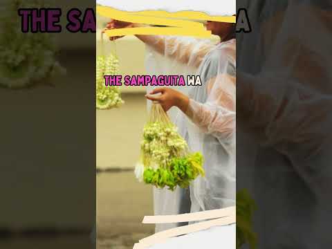 Philippines - National Flower (Sampaguita) #philippines #eightytwoph #shorts