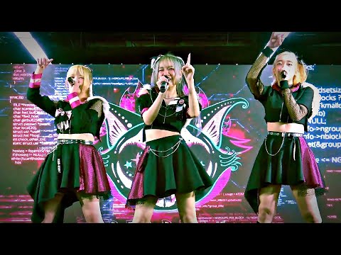 "DEADKAT (Fleeting Lights)" by "Deadkat" @ งาน "MBK International B.B.Show 2023"