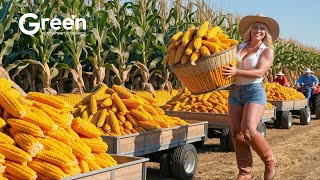 Corn Farming - Corn Harvesting & Popcorn Processing in Factory 🌽 | Agriculture Technology
