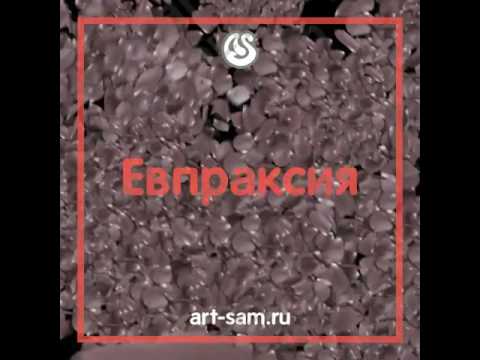 Евпраксия Я вернусь