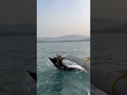 #beachside #westernindia #coconutonbeach