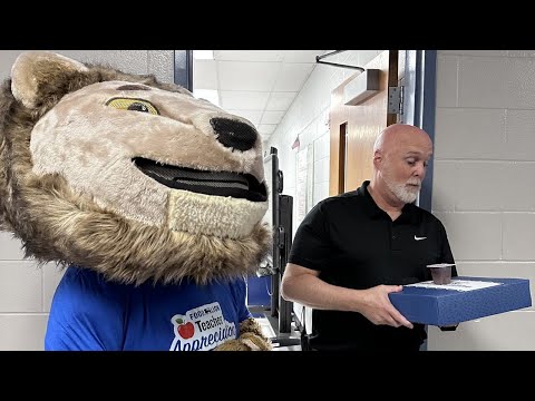 Food Lion Mccormick