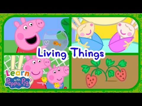 Learn About Living Things With Peppa Pig 🐭 Educational Videos for Kids 📚 Learn With Peppa Pig
