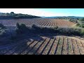 Un hiver dans nos vignes