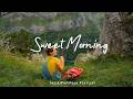 Sweet Morning Chill Morning Songs To Start Your Day Playlist 24 7 Live Radio