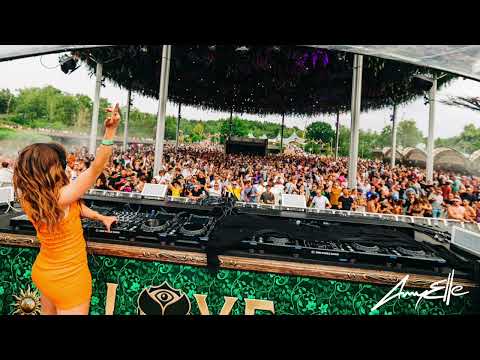 AmyElle - Summer Selections