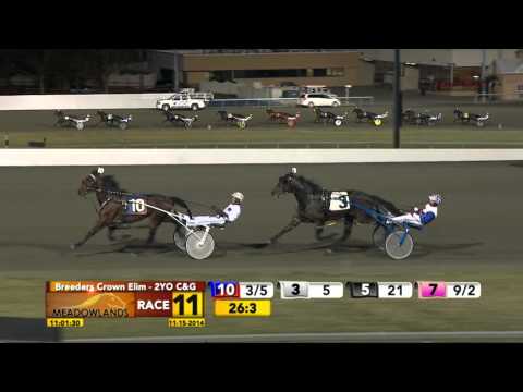 Breeders Crown Elimination - Traceur Hanover - November 15, 2014