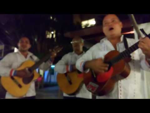 El Samil - LIVE - Trio la hiedra - "Happy Birthday"