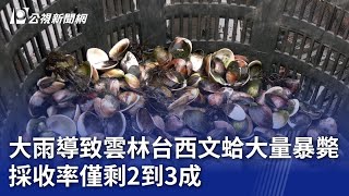 Re: [新聞] 雲林文蛤大量斃達600公頃 養殖業促請政