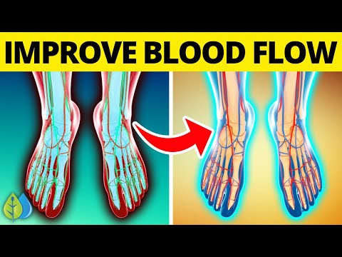 , title : 'Top 10 Foods that Improve Blood Circulation in Legs | Increase Blood Flow in Legs & Feet'