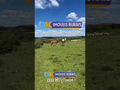 🚜 Fazendas à Venda e Arrendamento no RS | Oportunidades para Investidores e Produtores 🌾