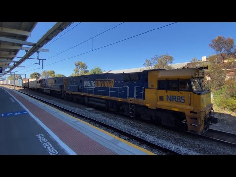 #NR85 & #NR52 leads a late 6MA5 through Adelaide Showgrounds