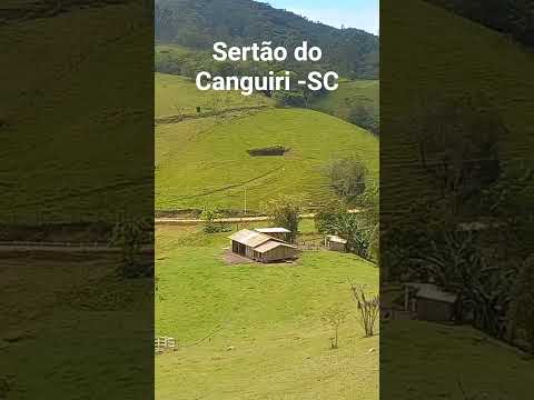 Sertão do Canguiri, em Imaruí, Santa Catarina. Sítio Recanto das Águas #criatorio #galinha #gsb