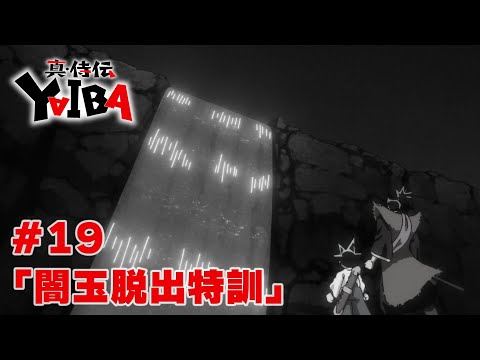 19