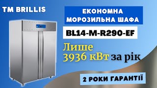 Морозильный шкаф BRILLIS BL14-M-R290-EF 