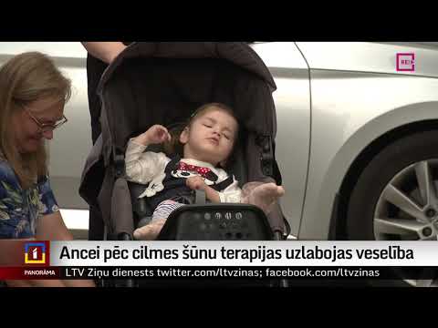 Ancei pēc cilmes šūnu terapijas uzlabojas veselība