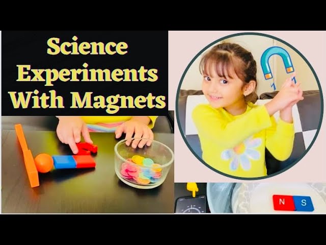 Learning Resources STEM Explorers, Homeschool, Magnet Movers, 39 Pieces, STEM Certified, Ages 5+