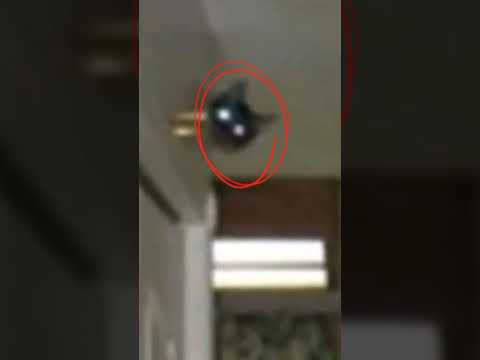 Scariest things hidden in normal photos 😮 #scary #shortsvideo #shorts #ytshorts