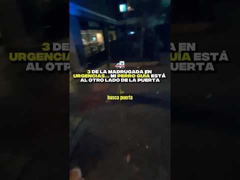 3 de la madrugada en urgencias… mi perro guía está al otro lado de la puerta 🚑