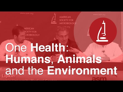 One Health: Humans, Animals, and the Environment