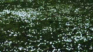 Pur - Allein vor dem Spiegel