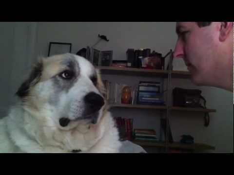 Yeti plays (round 2)