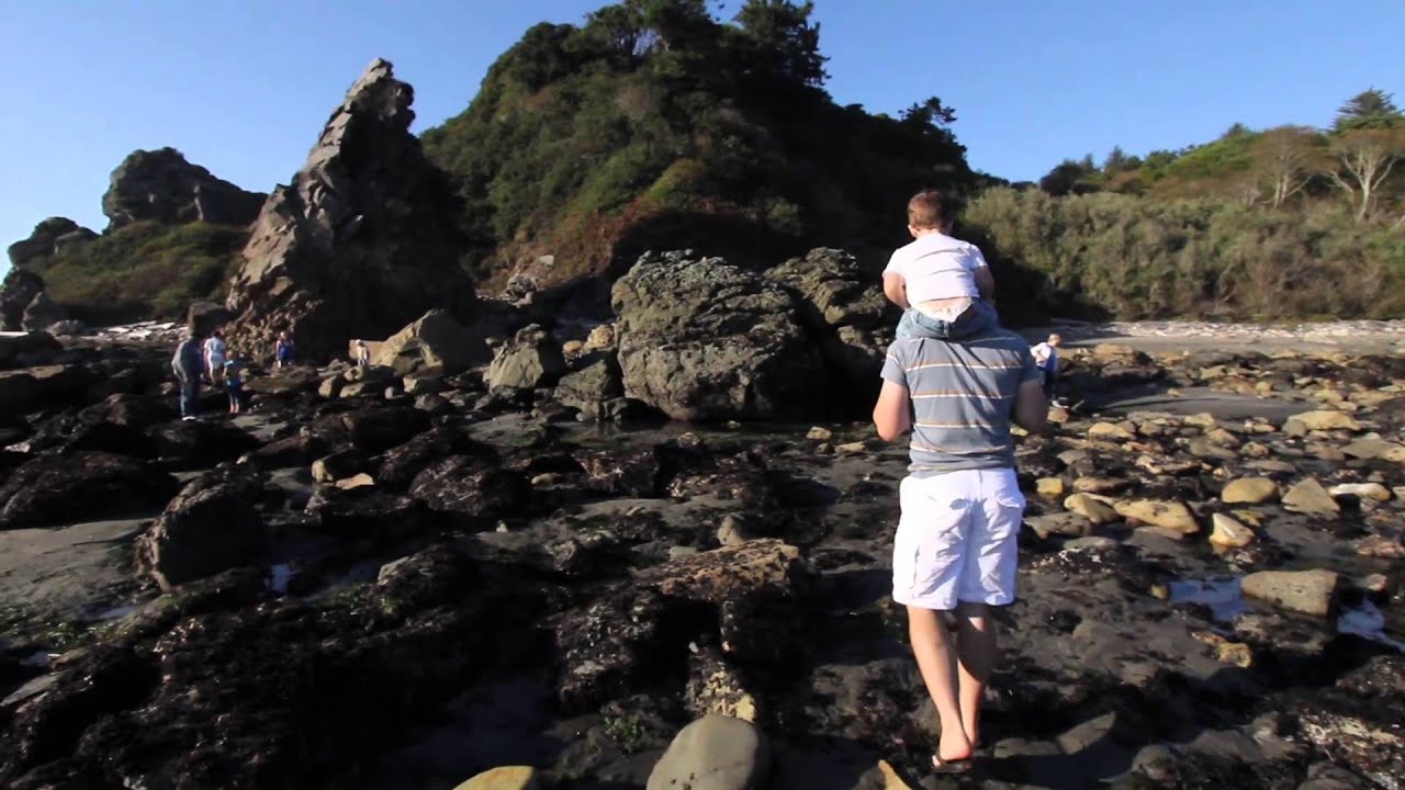 Brookings - A Great Place to Visit (See & Do)