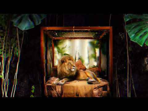 Tribzz - Raggatronica