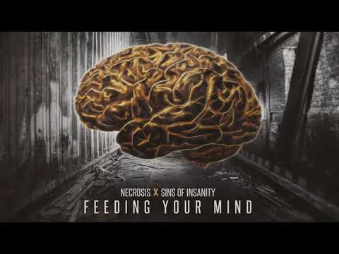 Necrosis x Sins Of Insanity - Feeding Your Mind [GBR027]