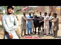 Qasaiyon Ny Hamara Qurbani Ka Janwar Buffalo Ko Zibha Kar Diya Eid Vlog