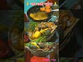 Pahile Pahile Ham Kaini Chathpuja New Short Sardasinha Song Music Jaygangamaiya
