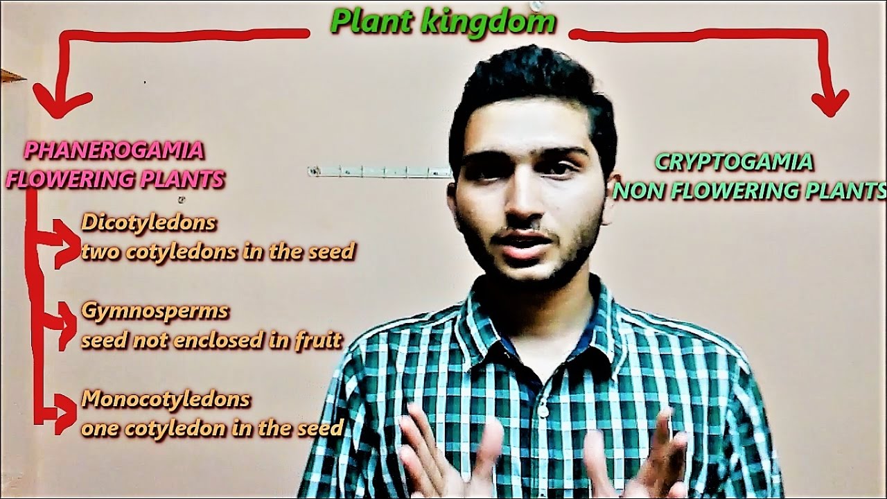 Watch video Bentham and Hooker Classification Now Bentham and Hooker Classification