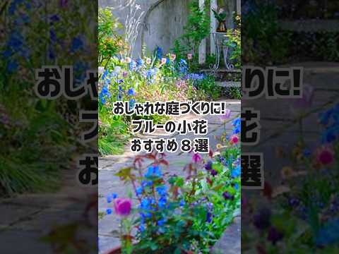 植物に一年中花を咲かせるにはどうすればよいでしょうか？ – 魔法のトリックであなたの庭が楽園に変わります  庭園