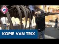 Trix uit Naturalis gekopieerd met 3D-printer - OMROEP WEST