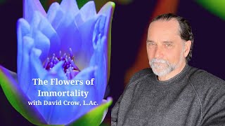 Flowers Of Immortality presented by David Crow, L.Ac.