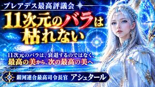 アシュタール 11次元のバラは枯れない 【プレアデス最高評議会】 #Ashtar #アシュタール #プレアデス