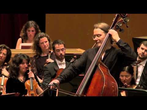 Musical Rara Música rara | Tendências do imaginário