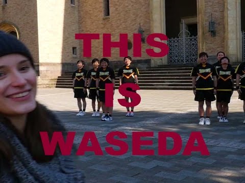 THIS IS WASEDA - The Shockers
