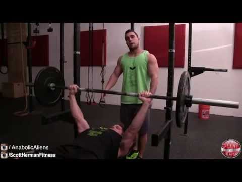 Muscular Strenght Title