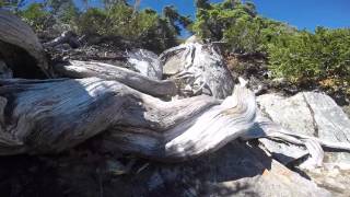 Download lagu West Lion - Final Scramble mp3