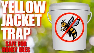 How To Trap Thousands Of Yellow Jackets In Just A Few Hours | Quick DIY Setup