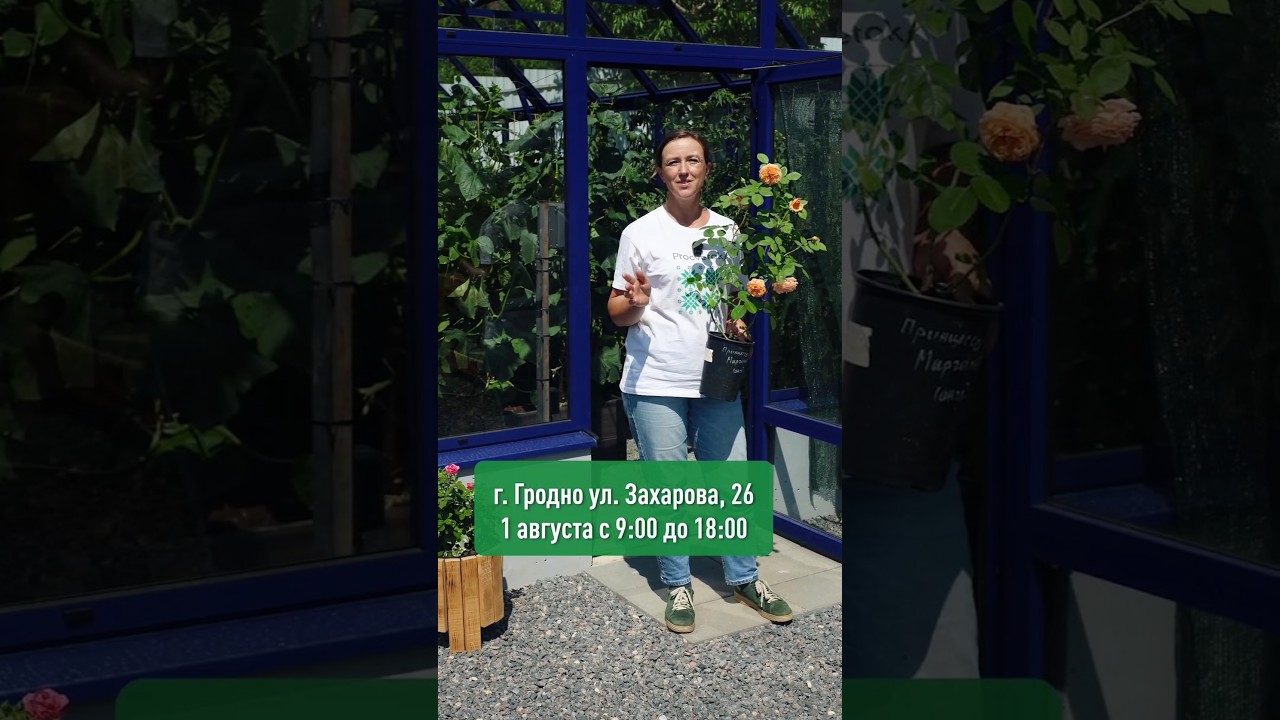 ✨ Отличная новость! 1 августа приглашаем на открытие магазина в Гродно!