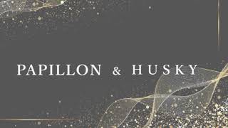 papillon & husky のライブ配信