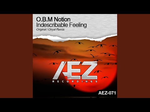 Indescribable Feeling (Original Mix)