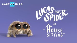 Lucas the Spider - House Sitting - Short