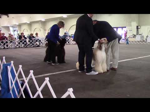 Del Mar Sun Nayef and Rosemary