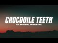 Nicki Minaj - Crocodile Teeth (Remix) (Lyrics)