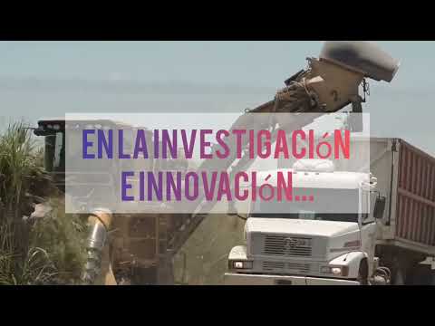 Empresa: Ingenio San isidro /Campo Santo/ Salta