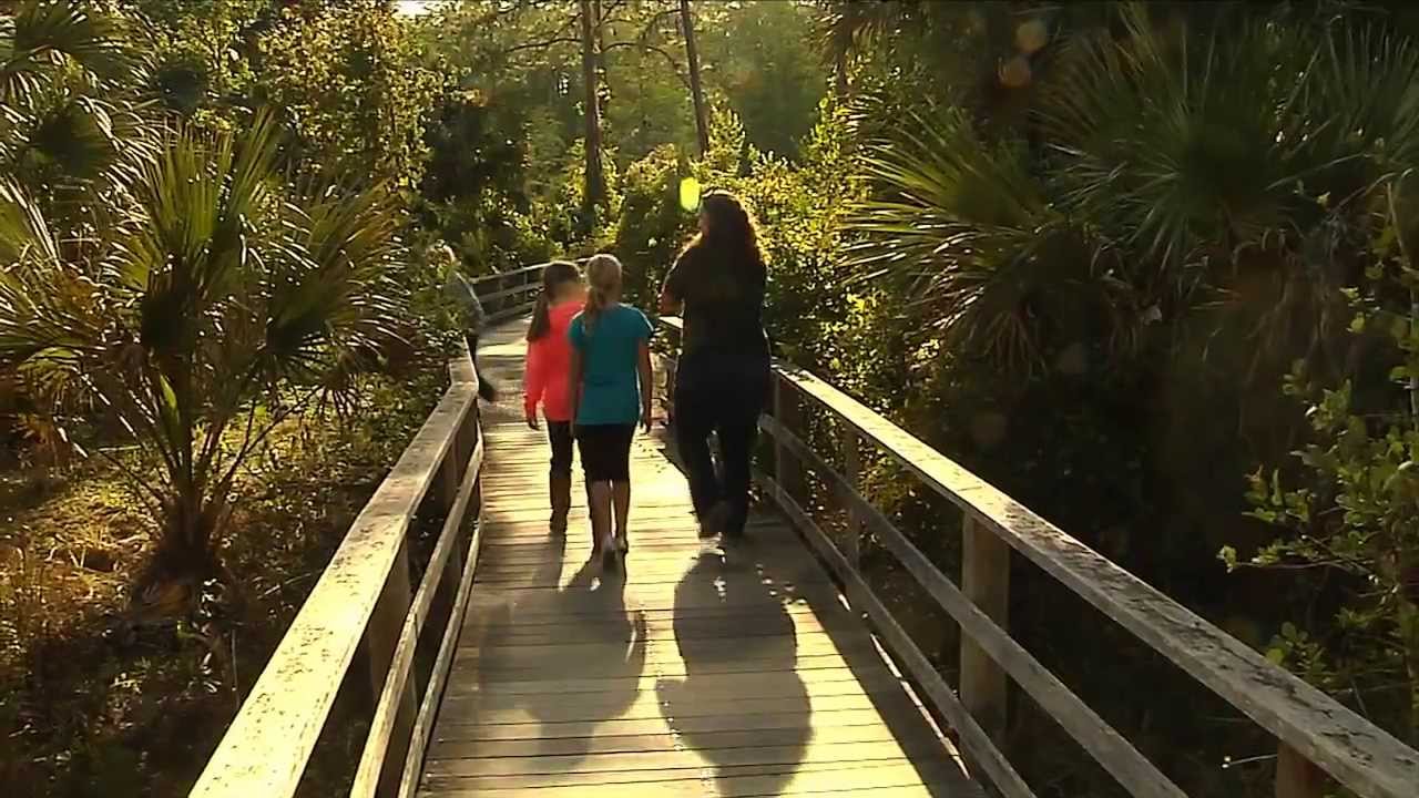 Curious Kids - STEAM