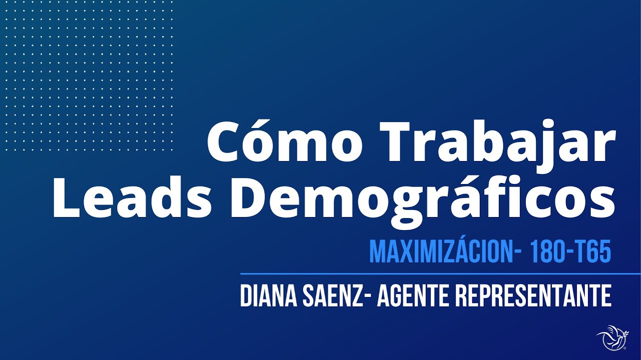 Cómo trabajar Leads Demográficos